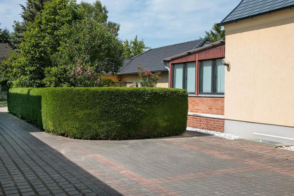 Charmantes Townhaus Mit Garten, W-Lan & Netflix Postupim Exteriér fotografie